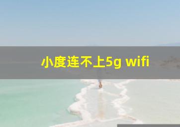 小度连不上5g wifi